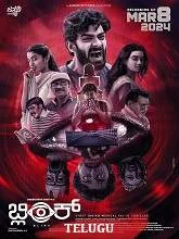 Blink (2024) Kannada