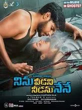 Ninu Veedani Needanu Nene (2019) Telugu