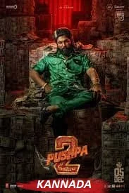 Pushpa 2: The Rule Reloaded (2024) Hindi