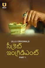 Secret Ingredient Part 1 (2023) Hindi