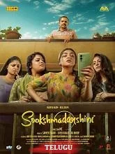 Sookshmadarshini (2025) Hindi